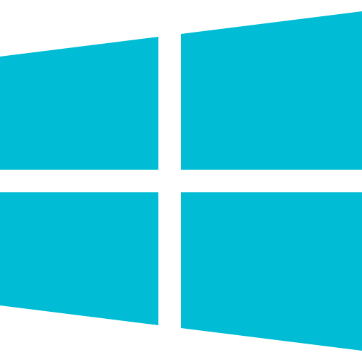 Windows Icon
